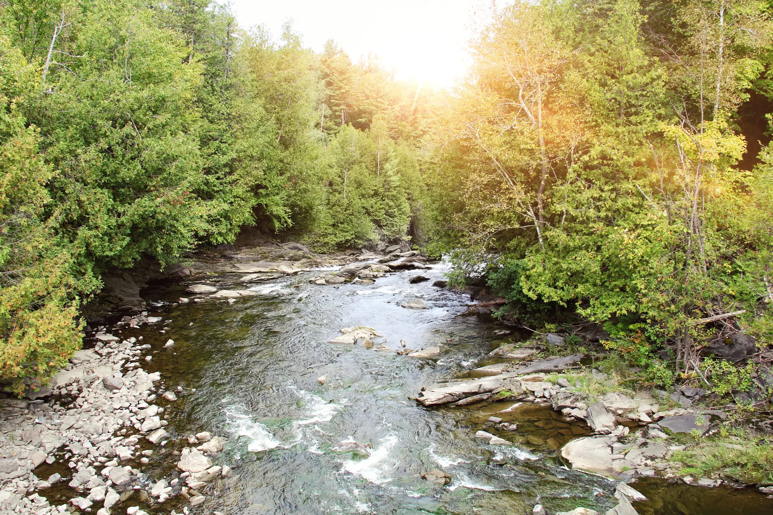 Rivière Rapides Stanstead-Est