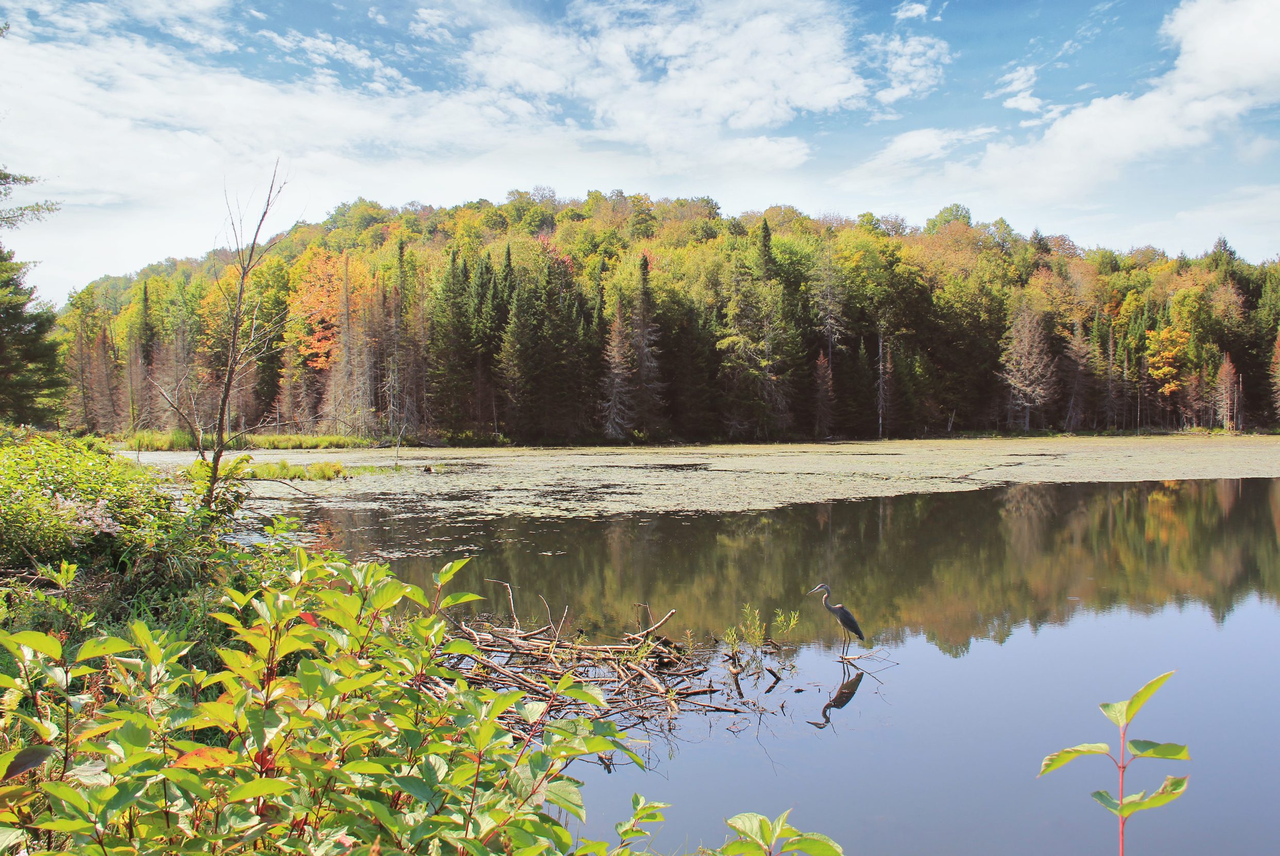 Lac Stanstead-Est