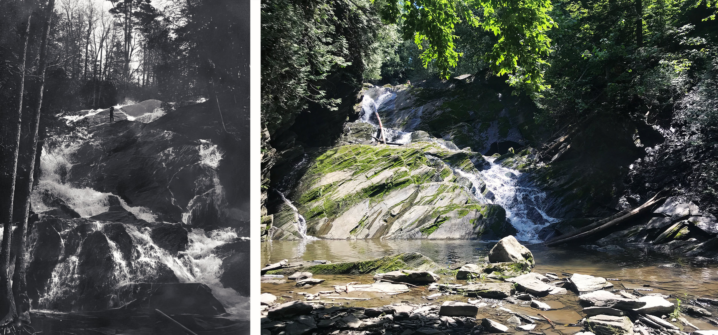 Chutes Burroughs Stanstead-Est