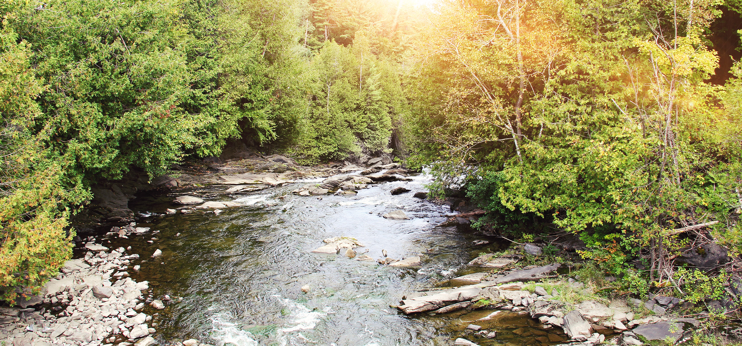 Rivière Niger Stanstead-Est